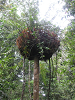 s_A_PICT0157_thumb.png